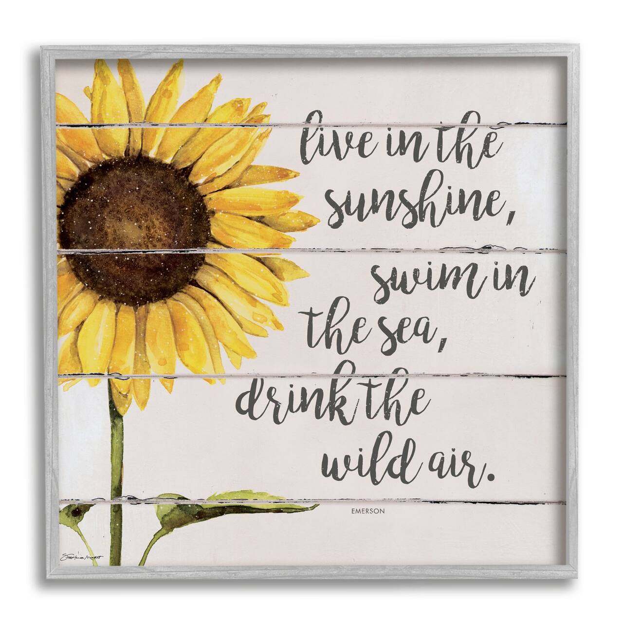 Stupell Industries Live In Sunshine Drink Wild Air Phrase Sunflower Framed Wall Art